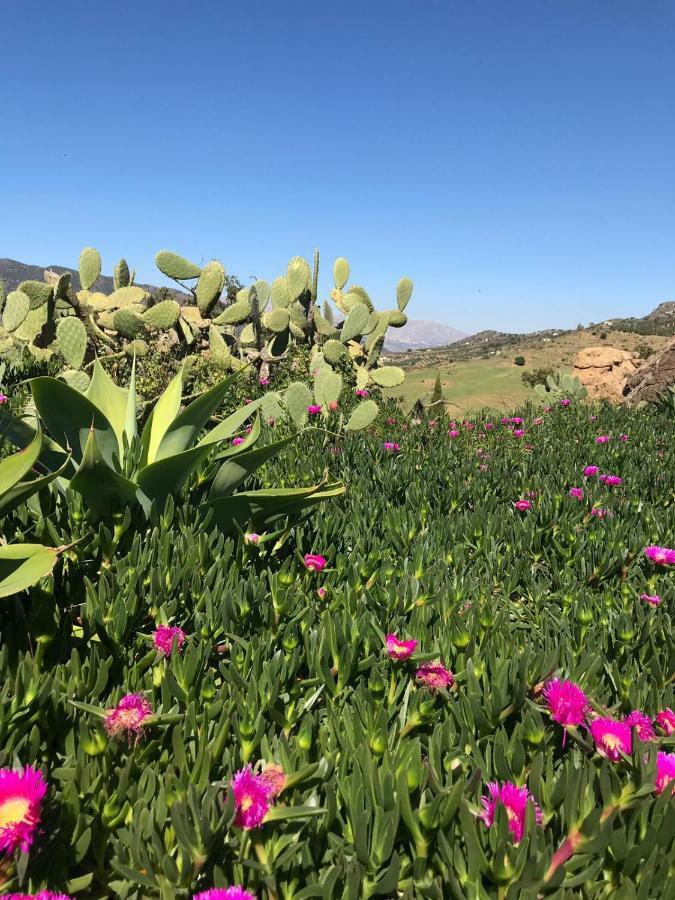 Casa Grande / Rosas Cantares Pizarra Eksteriør billede